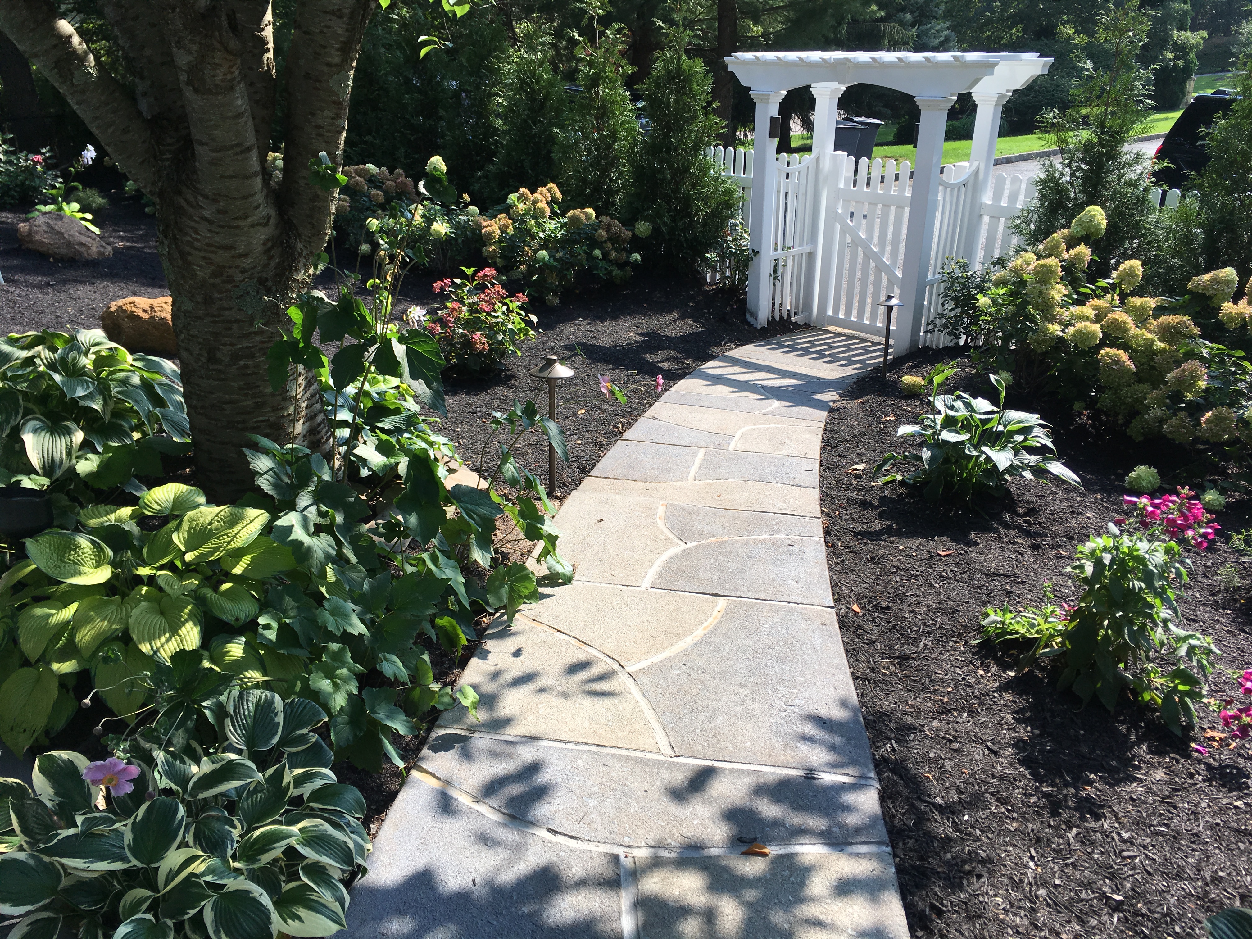 Resurfaced concrete pool deck in Granite Slate finish showing modern gray stone appearance.