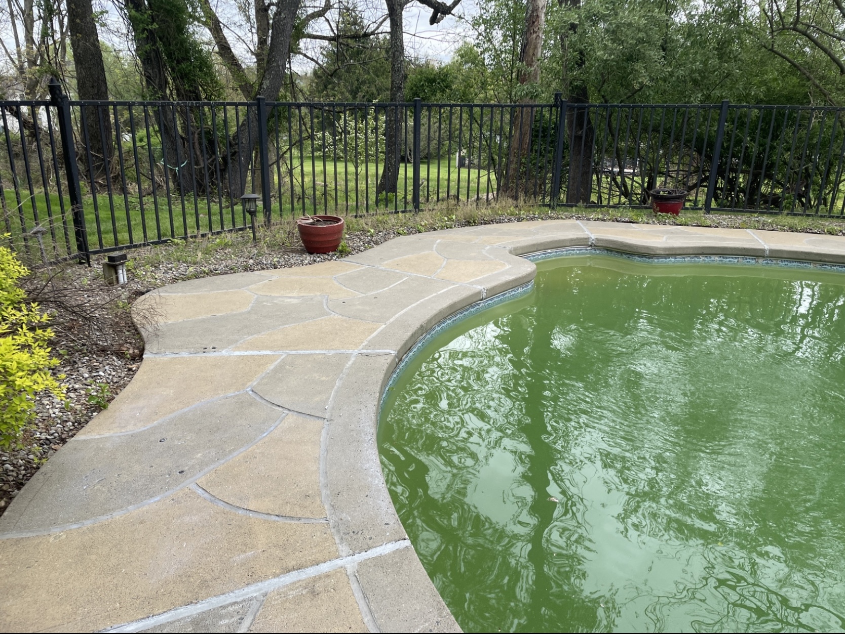 RenuKrete resurfaced pool deck in Hurricane Slate showing durable resurfaced concrete