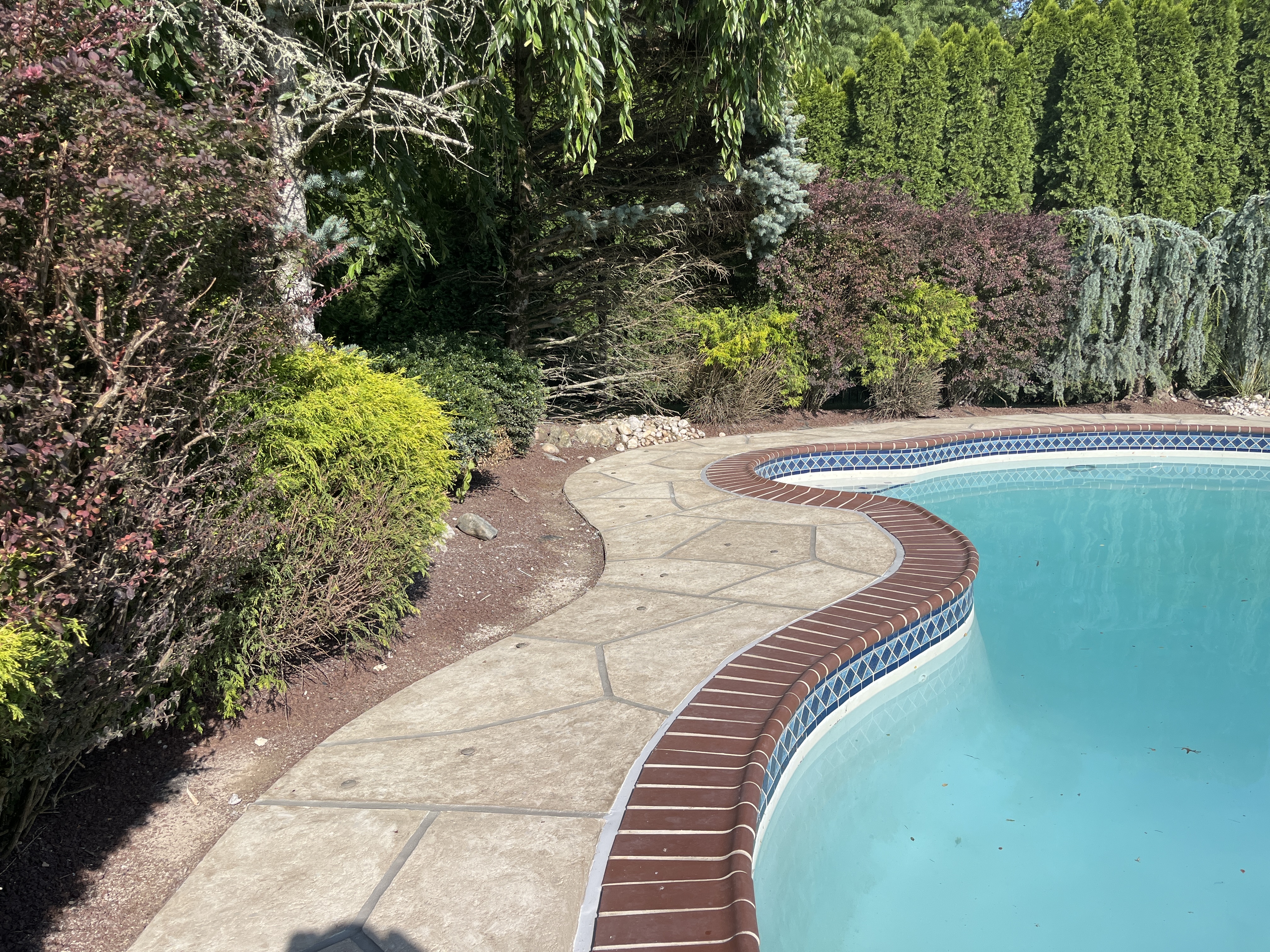 Sandstone concrete pool deck repair featuring light, warm stone aesthetic